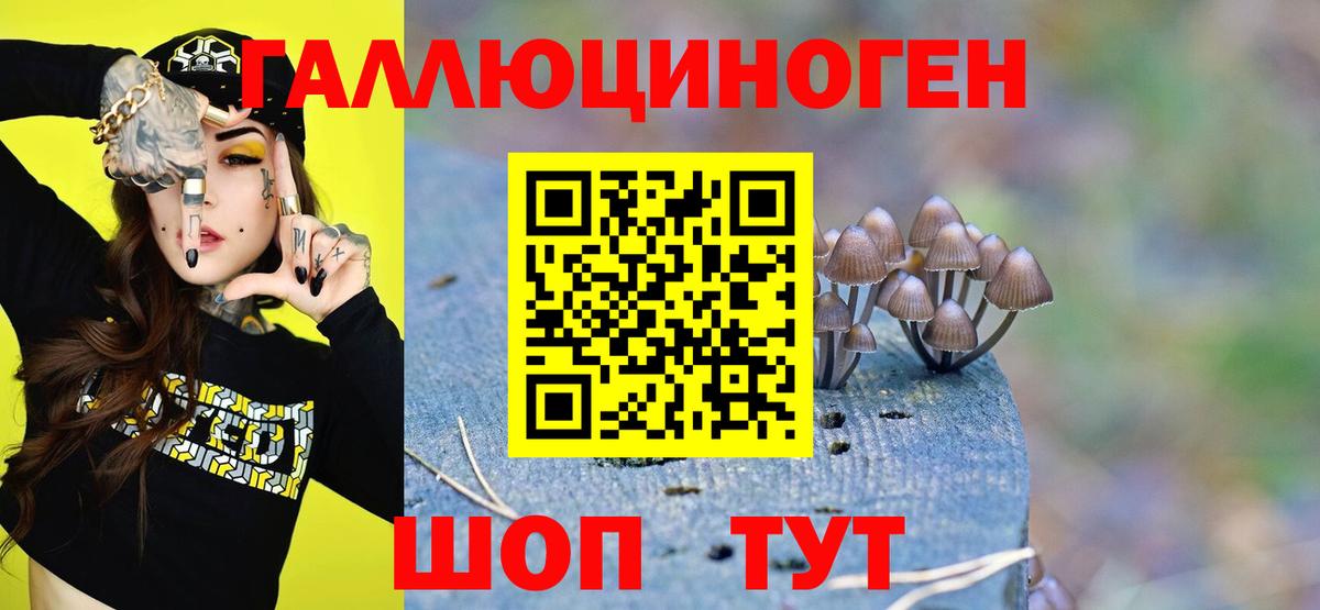 Псилоцибиновые грибы мицелий Альметьевск