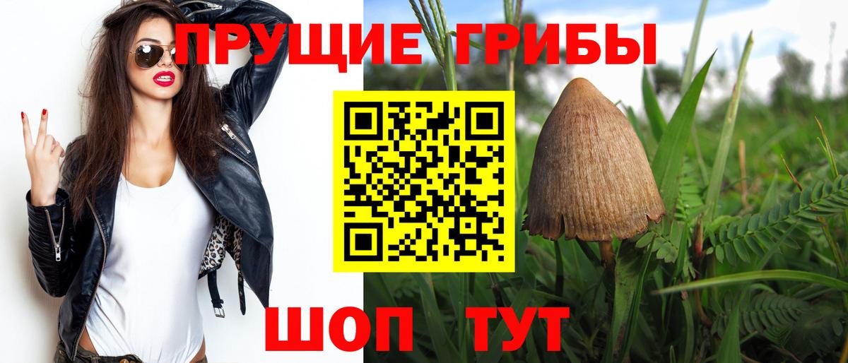 Псилоцибиновые грибы GOLDEN TEACHER  Вход с VPN  Альметьевск 